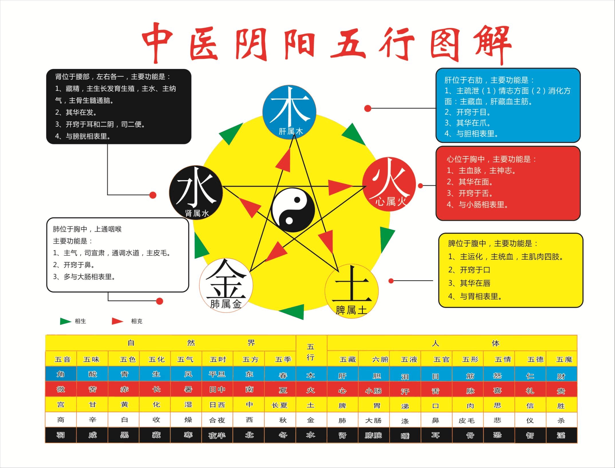 中医阴阳五行图解